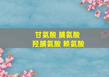 甘氨酸 脯氨酸 羟脯氨酸 赖氨酸